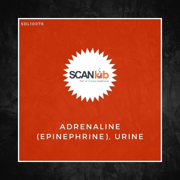 ADRENALINE (EPINEPHRINE), URINE (SDL10078)