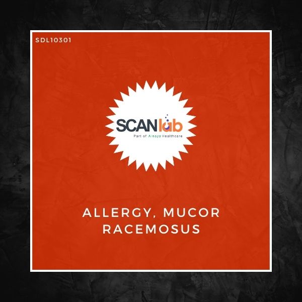 ALLERGY, MUCOR RACEMOSUS (SDL10301)