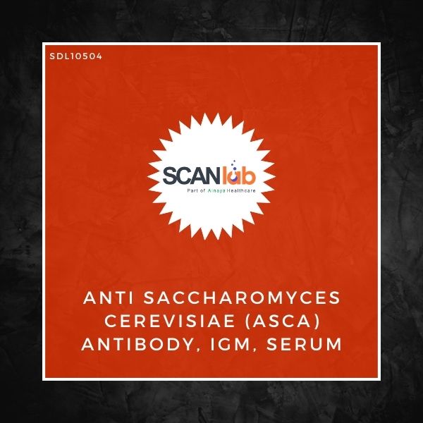 ANTI SACCHAROMYCES CEREVISIAE (ASCA) ANTIBODY, IGM, SERUM (SDL10504)
