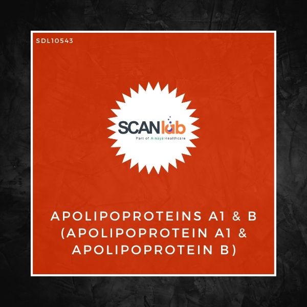 APOLIPOPROTEINS A1 & B (APOLIPOPROTEIN A1 & APOLIPOPROTEIN B) (SDL10543)