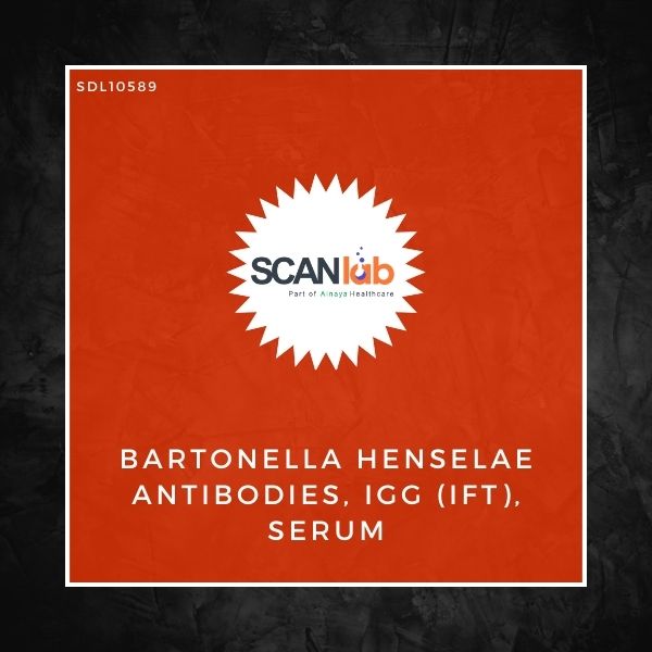 BARTONELLA HENSELAE ANTIBODIES, IGG (IFT), SERUM (SDL10589)