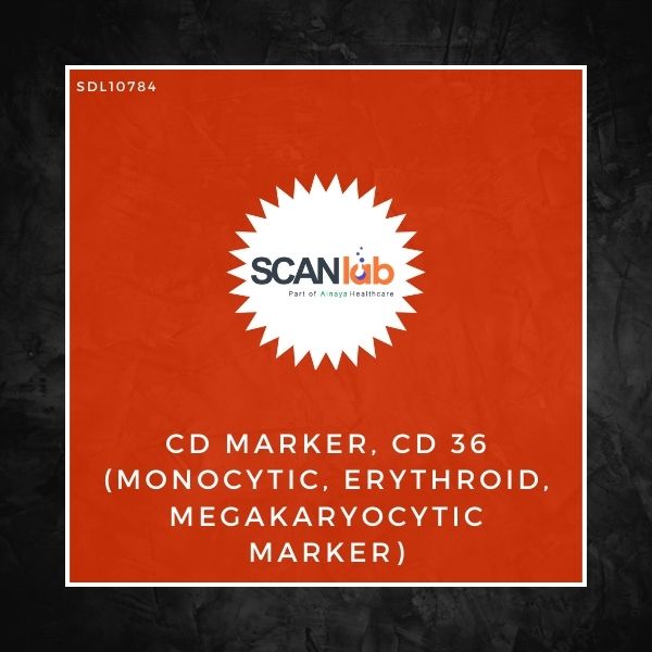 CD MARKER, CD 36 (MONOCYTIC, ERYTHROID, MEGAKARYOCYTIC MARKER) (SDL10784)