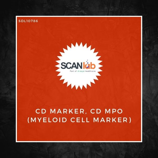 CD MARKER, CD MPO (MYELOID CELL MARKER) (SDL10786)