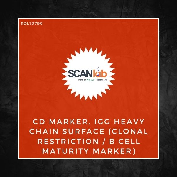 CD MARKER, IGG HEAVY CHAIN SURFACE (CLONAL RESTRICTION/B CELL MATURITY MARKER) (SDL10790)
