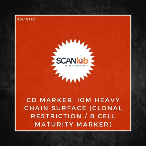 CD MARKER, IGM HEAVY CHAIN SURFACE (CLONAL RESTRICTION/B CELL MATURITY MARKER) (SDL10792)