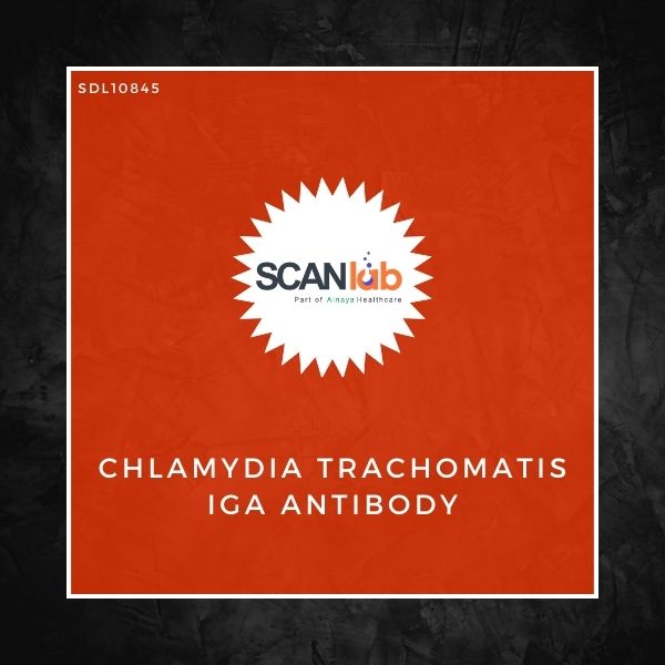 CHLAMYDIA TRACHOMATIS IGA ANTIBODY (SDL10845)