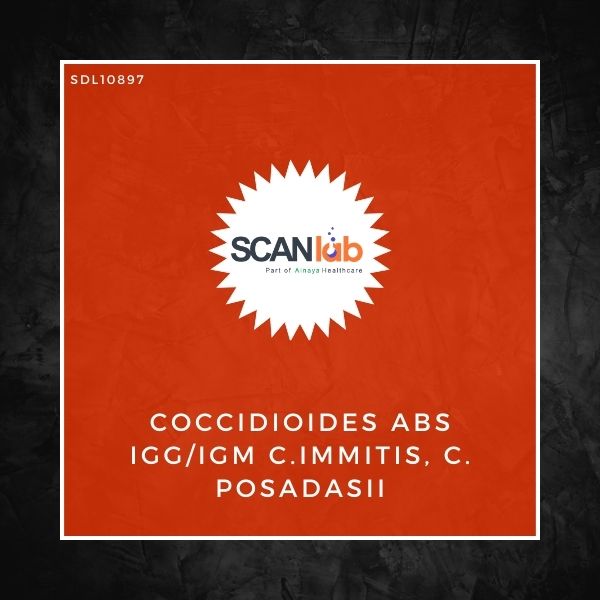 COCCIDIOIDES ABS IGG/IGM C.IMMITIS, C. POSADASII (SDL10897)