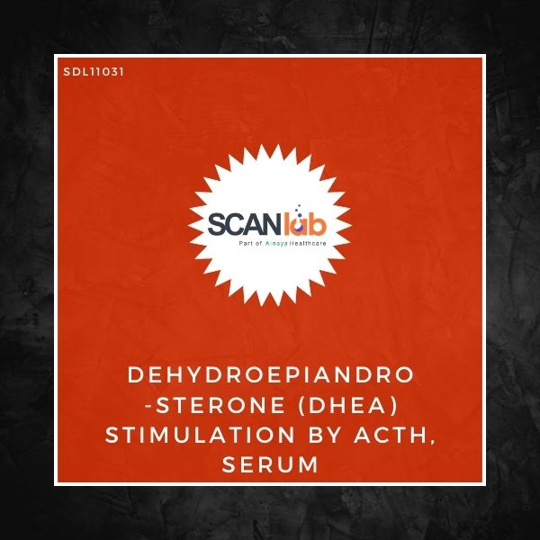 DEHYDROEPIANDROSTERONE (DHEA) STIMULATION BY ACTH, SERUM (SDL11031)