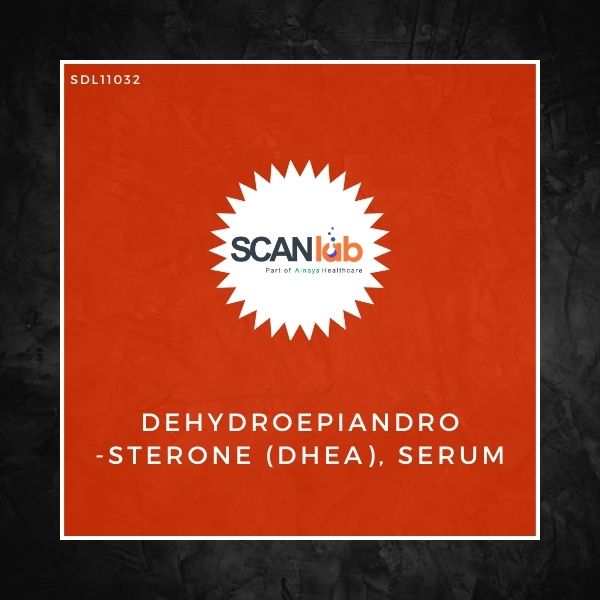 DEHYDROEPIANDROSTERONE (DHEA), SERUM (SDL11032)