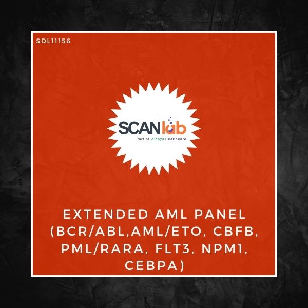 EXTENDED AML PANEL (BCR/ABL,AML/ETO, CBFB, PML/RARA, FLT3, NPM1, CEBPA) (SDL11156)