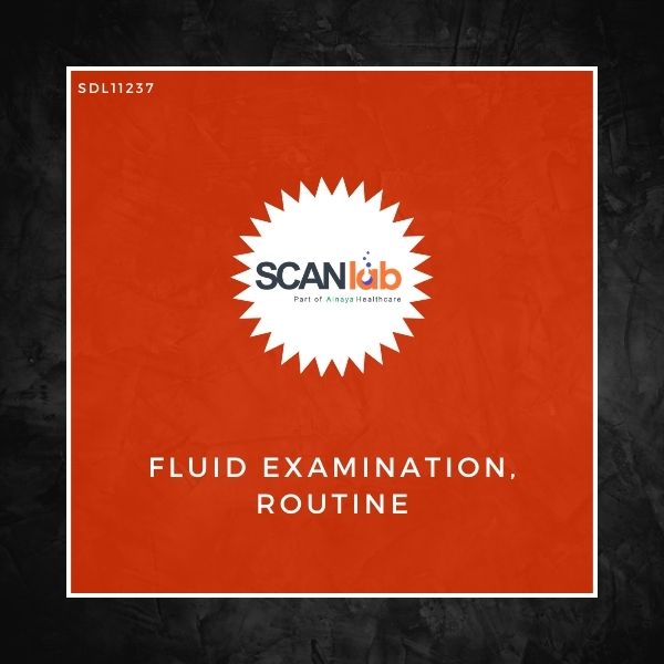 FLUID EXAMINATION, ROUTINE (SDL11237)