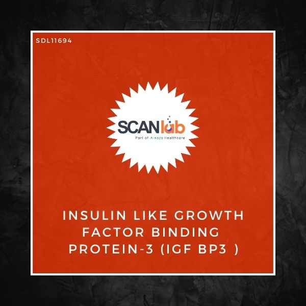 INSULIN LIKE GROWTH FACTOR BINDING PROTEIN-3 (IGF BP3 ) (SDL11694)