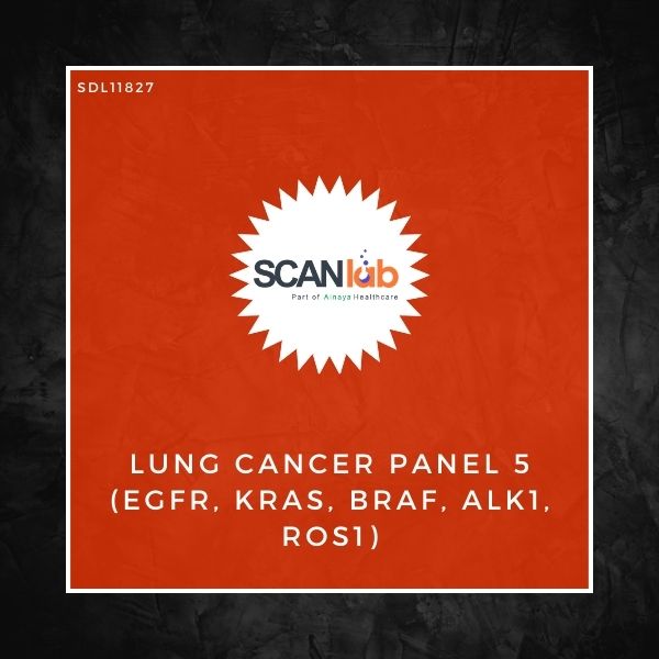 LUNG CANCER PANEL 5 (EGFR, KRAS, BRAF, ALK1, ROS1) (SDL11827)