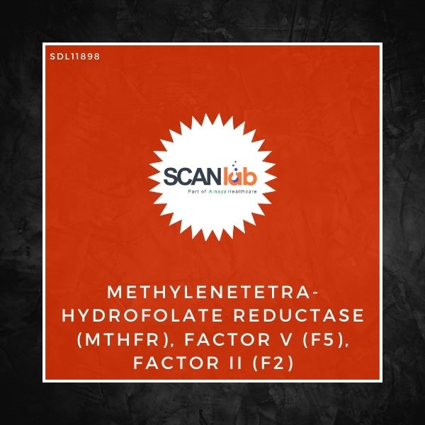 METHYLENETETRAHYDROFOLATE REDUCTASE (MTHFR), FACTOR V (F5), FACTOR II (F2) (SDL11898)