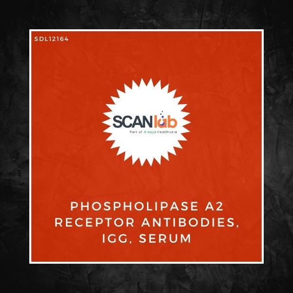 PHOSPHOLIPASE A2 RECEPTOR ANTIBODIES, IGG, SERUM (SDL12164)