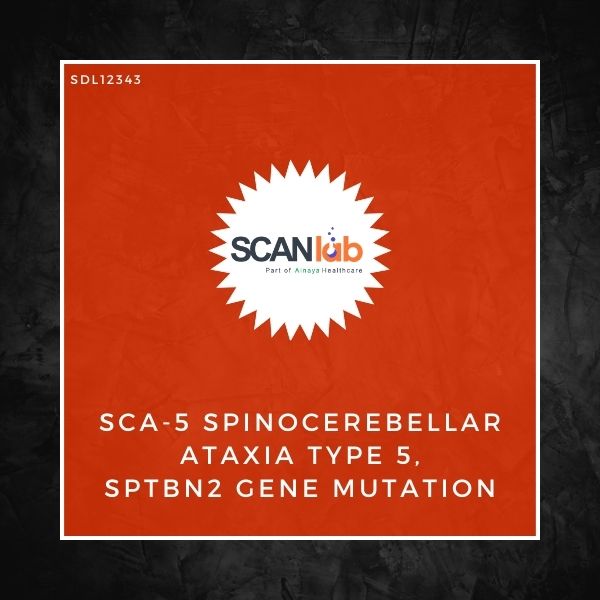 SCA-5 SPINOCEREBELLAR ATAXIA TYPE 5, SPTBN2 GENE MUTATION (SDL12343)
