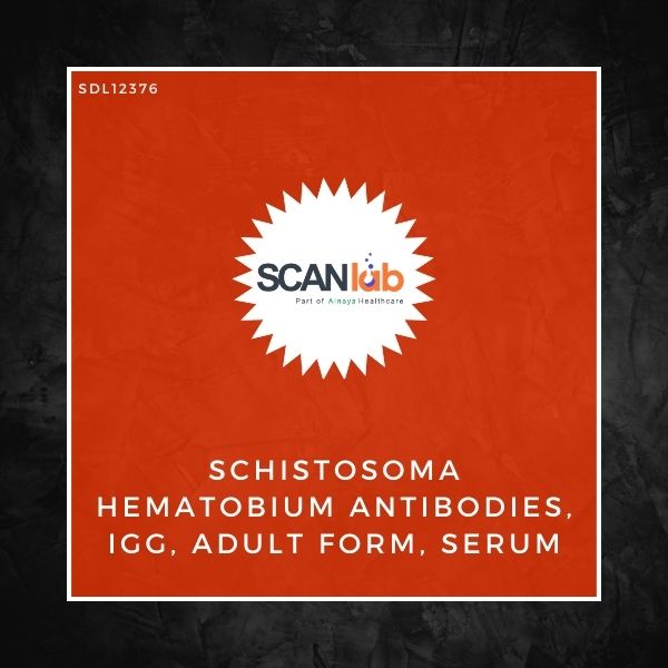 SCHISTOSOMA HEMATOBIUM ANTIBODIES, IGG, ADULT FORM, SERUM (SDL12376)