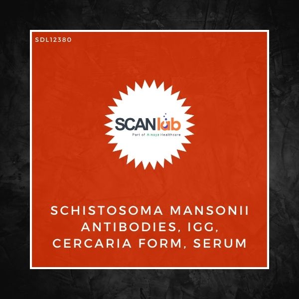 SCHISTOSOMA MANSONII ANTIBODIES, IGG, CERCARIA FORM, SERUM (SDL12380)