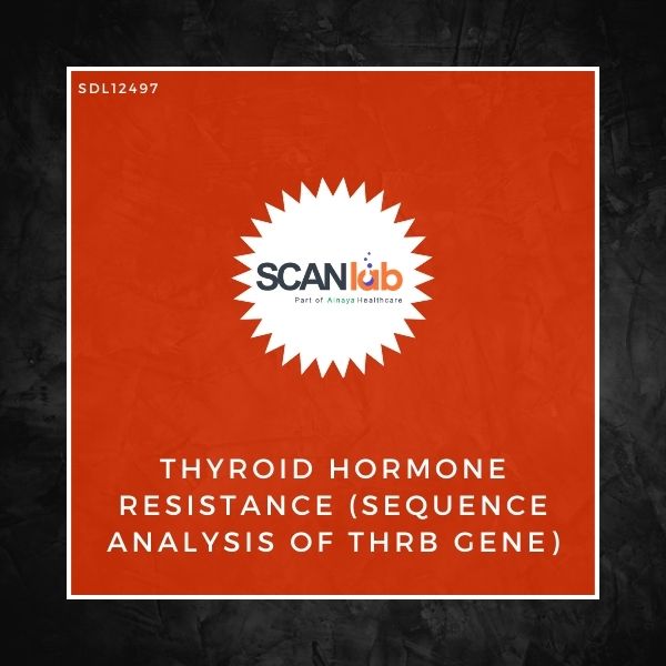 THYROID HORMONE RESISTANCE (SEQUENCE ANALYSIS OF THRB GENE) (SDL12497)