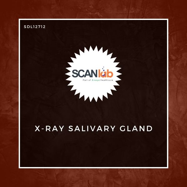 X-RAY SALIVARY GLAND (SDL12712)