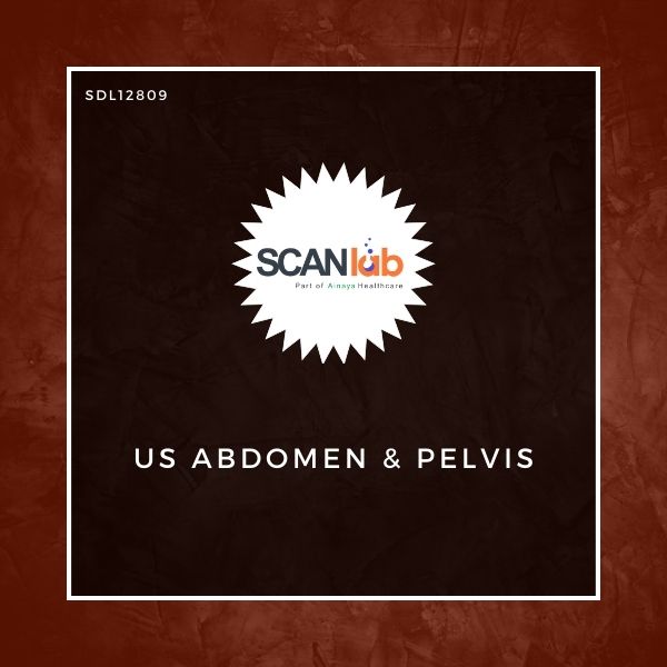 US ABDOMEN & PELVIS (SDL12809)