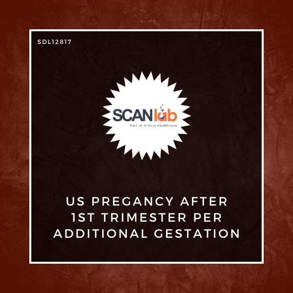 US PREGANCY AFTER 1ST TRIMESTER PER ADDITIONAL GESTATION (SDL12817)