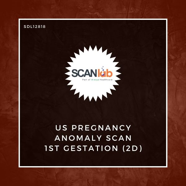 US PREGNANCY ANOMALY SCAN 1ST GESTATION (2D) (SDL12818)