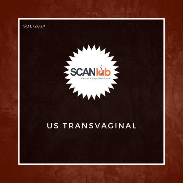 US TRANSVAGINAL (SDL12827)