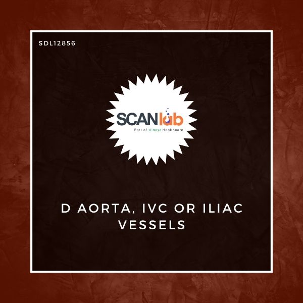 D AORTA, IVC OR ILIAC VESSELS (SDL12856)