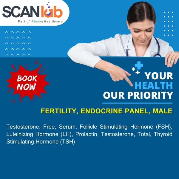 FERTILITY, ENDOCRINE PANEL, MALE (SDL11191)