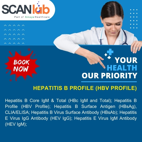 HEPATITIS B PROFILE (HBV PROFILE) (SDL11390)