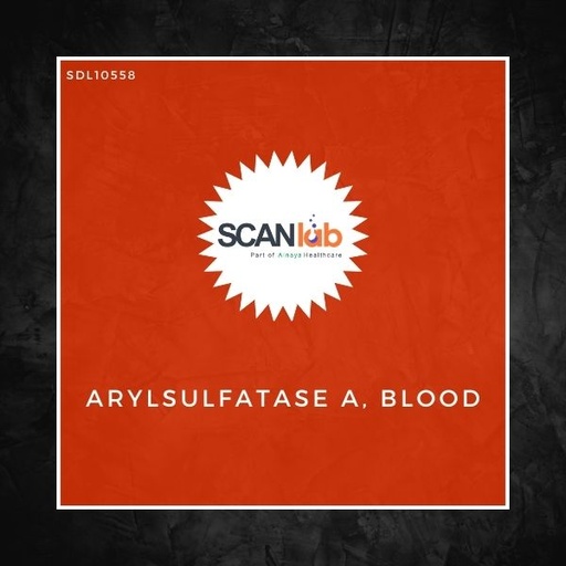 [SDL10558] ARYLSULFATASE A, BLOOD (SDL10558)