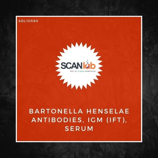 [SDL10590] BARTONELLA HENSELAE ANTIBODIES, IGM (IFT), SERUM (SDL10590)