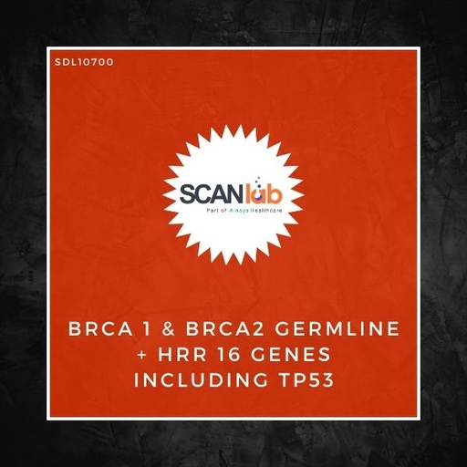 [SDL10700] BRCA 1 & BRCA2 GERMLINE+HRR 16 GENES INCLUDING TP53 (SDL10700)