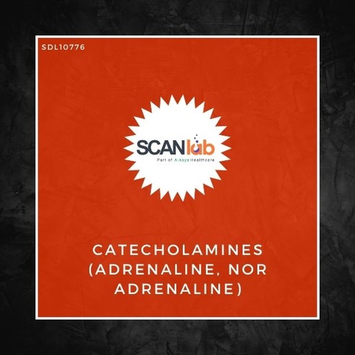 [SDL10776] CATECHOLAMINES (ADRENALINE, NOR ADRENALINE) (SDL10776)