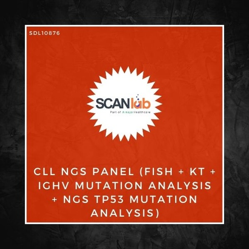 [SDL10876] CLL NGS PANEL (FISH+KT+IGHV MUTATION ANALYSIS+NGS TP53 MUTATION ANALYSIS) (SDL10876)