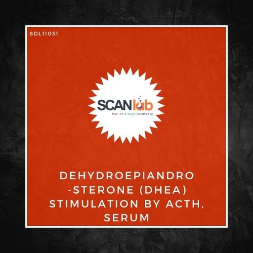 [SDL11031] DEHYDROEPIANDROSTERONE (DHEA) STIMULATION BY ACTH, SERUM (SDL11031)