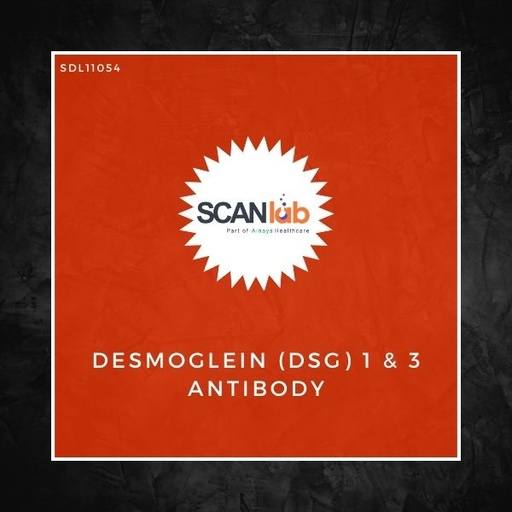 [SDL11054] DESMOGLEIN (DSG) 1 & 3 ANTIBODY (SDL11054)