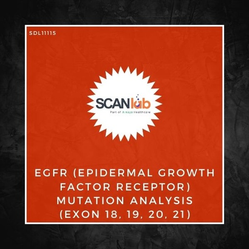 [SDL11115] EGFR (EPIDERMAL GROWTH FACTOR RECEPTOR) MUTATION ANALYSIS (EXON 18, 19, 20, 21) (SDL11115)