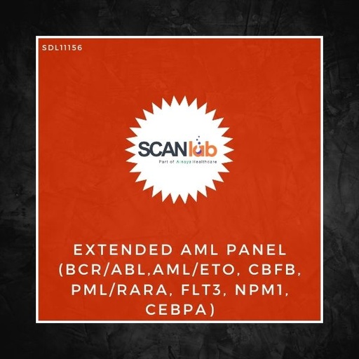 [SDL11156] EXTENDED AML PANEL (BCR/ABL,AML/ETO, CBFB, PML/RARA, FLT3, NPM1, CEBPA) (SDL11156)