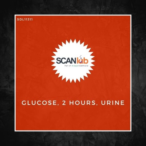 [SDL11311] GLUCOSE, 2 HOURS, URINE (SDL11311)