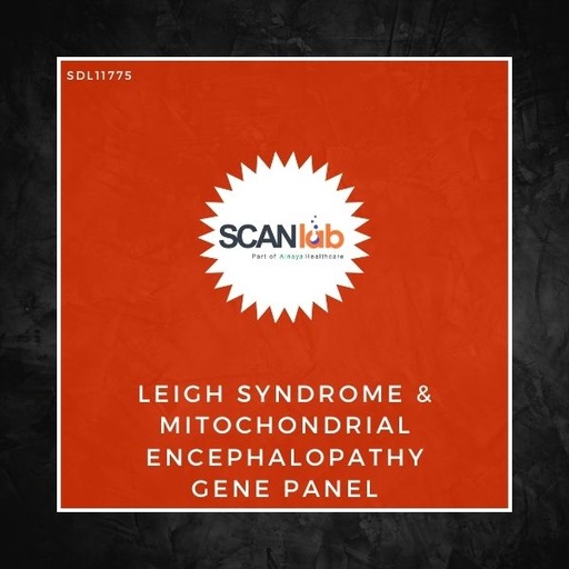 [SDL11775] LEIGH SYNDROME & MITOCHONDRIAL ENCEPHALOPATHY GENE PANEL (SDL11775)