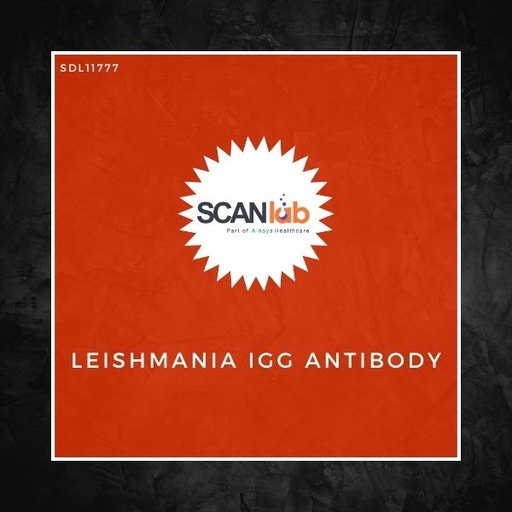 [SDL11777] LEISHMANIA IGG ANTIBODY (SDL11777)
