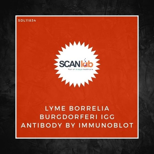 [SDL11834] LYME BORRELIA BURGDORFERI IGG ANTIBODY BY IMMUNOBLOT (SDL11834)