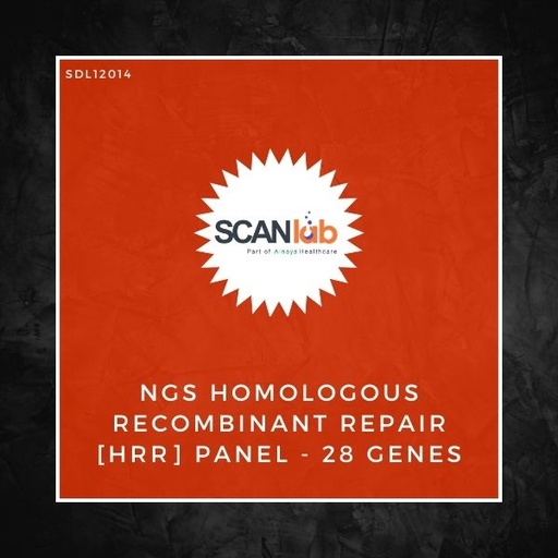 [SDL12014] NGS HOMOLOGOUS RECOMBINANT REPAIR [HRR] PANEL-28 GENES (SDL12014)