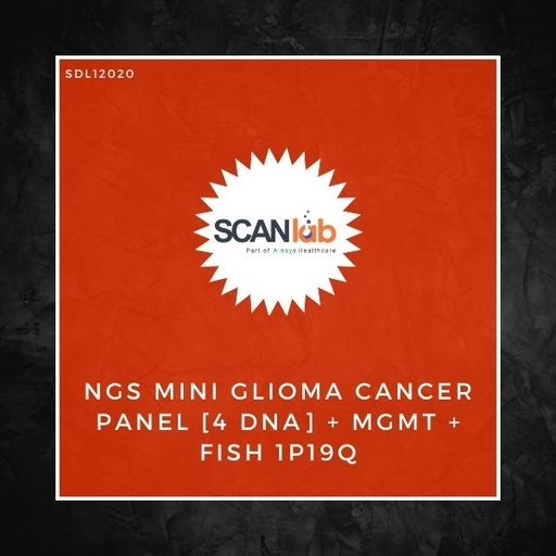 [SDL12020] NGS MINI GLIOMA CANCER PANEL [4 DNA]+MGMT+FISH 1P19Q (SDL12020)