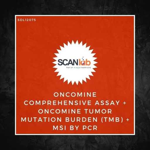 [SDL12075] ONCOMINE COMPREHENSIVE ASSAY+ONCOMINE TUMOR MUTATION BURDEN (TMB)+MSI BY PCR (SDL12075)