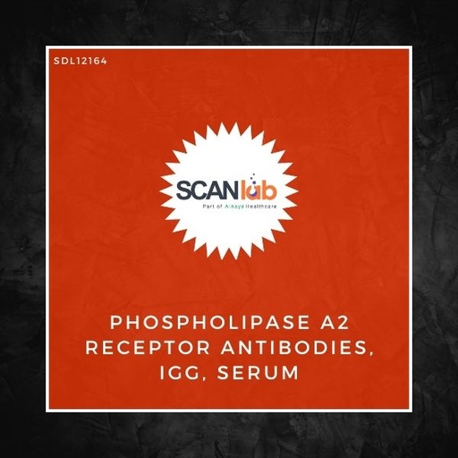 [SDL12164] PHOSPHOLIPASE A2 RECEPTOR ANTIBODIES, IGG, SERUM (SDL12164)