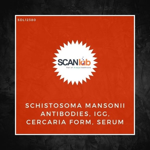 [SDL12380] SCHISTOSOMA MANSONII ANTIBODIES, IGG, CERCARIA FORM, SERUM (SDL12380)