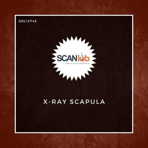 [SDL12745] X-RAY SCAPULA (SDL12745)